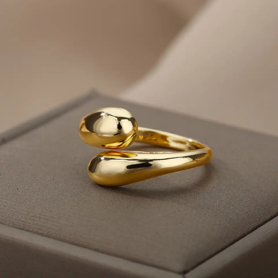 VERSTELBARE RVS RING