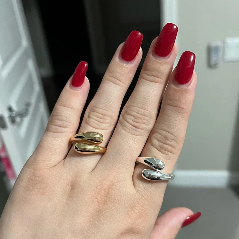 VERSTELBARE RVS RING